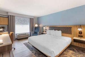 萨凡纳萨凡纳机场江山套房旅馆的酒店客房设有一张大床和一张书桌。