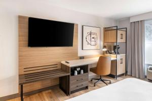 萨凡纳萨凡纳机场江山套房旅馆的酒店的客房,配有书桌和墙上的电视
