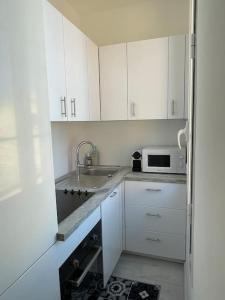 Saint-AntoineMonaco Cosy 3 pièces的厨房配有白色橱柜、水槽和微波炉