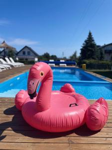 奥斯特罗沃Ostrovia - pokoje nad morzem的两个粉红色充气火烈鸟坐在游泳池旁