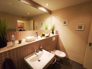 贝尔法斯特2br Modern Luxury Loft Apartment的一间带水槽、卫生间和镜子的浴室
