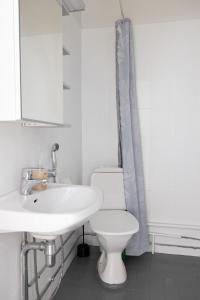 赫尔辛基2ndhomes Fabianinkatu Apartments的浴室配有白色卫生间和盥洗盆。