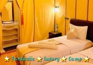 梅尔祖卡Fantastic Luxury Camp的一间卧室设有两张黄色墙壁的床
