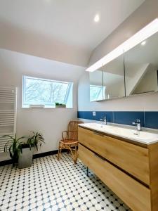 拉瓦勒Appartement et Maison Espace Mayenne的一间带大水槽和窗户的浴室