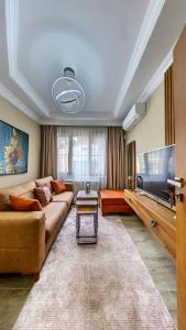 伊斯坦布尔Denis suit apart的带沙发和平面电视的客厅