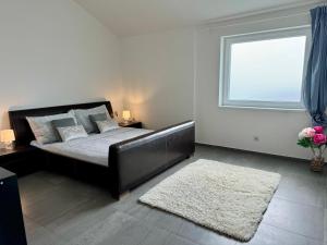 布拉格Byt apartman 2rooms 76m2 all new的一间卧室设有床、窗户和地毯。