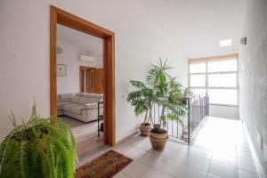 奥尔比亚Olbia Oasis Apartment with Two Balconies!的一间客厅,地板上种植了盆栽植物
