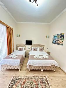 伊斯坦布尔Elegance Aparts Cihangir的一间卧室配有两张床和电视。