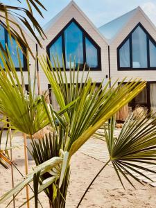 梅尔诺Lulu Holiday Resort的海滩上一棵棕榈树的房子