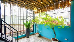 河内Hanoi Ben's Apartment and Hotel的蓝色墙壁上种植了盆栽植物的阳台