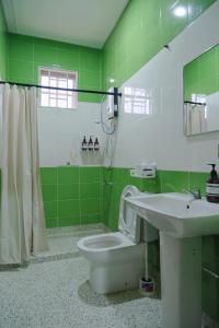 斗湖Kim_Homestay的绿色浴室设有卫生间和水槽