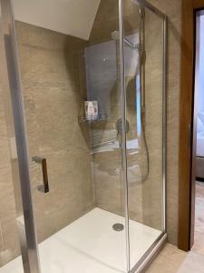 布雷兹诺Brezno Central Apartments的浴室里设有玻璃门淋浴