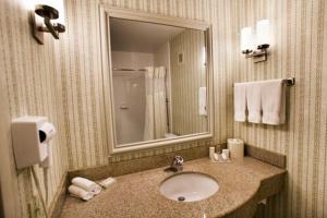 奥克布鲁克特莱斯希尔顿花园奥克布鲁克特莱斯酒店的一间带水槽和镜子的浴室