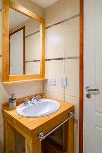 厄尔查尔坦Andino Aparts - El Chaltén的一间带水槽和镜子的浴室