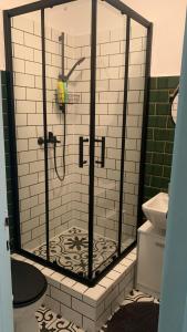塞格德Mermaid house apartman的浴室里设有玻璃门淋浴