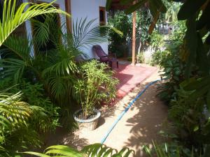 阿鲁甘湾SURF & SAND Hotel Arugambay的庭院里种有植物,设有长凳