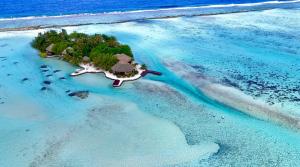 PatioEDEN Private Island TAHAA的海洋中的岛屿,其中有度假村