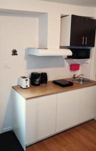 圣让上黎塞留welcome to airbnb的厨房配有带烤面包机和水槽的台面