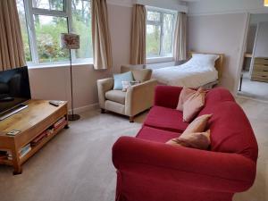 埃姆斯伯里罗宾山别墅的客厅配有红色的沙发和床。