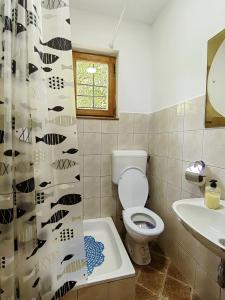 维舍格勒Dodir prirode的浴室设有卫生间、水槽和淋浴帘