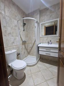 突尼斯Dar Salem III的带淋浴、卫生间和盥洗盆的浴室