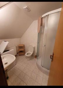 SmržovkaChata Tereza的浴室配有卫生间、淋浴和盥洗盆。