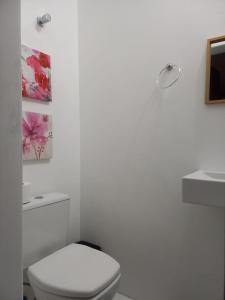 波梅罗迪Pousada Harmonia Pomerana的白色的浴室设有卫生间和水槽。