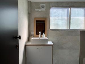 塞特港Péniche Anna Maria 4的浴室设有白色水槽和镜子