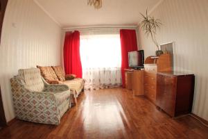 赤塔Dekabrist apartment at petrovsko-zavodskaya 31的带沙发和窗户的客厅