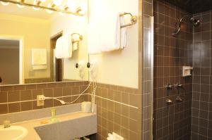 旧金山思域中心汽车旅馆的带淋浴、盥洗盆和镜子的浴室