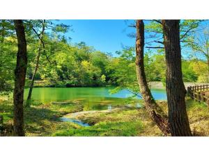 KyōmendaoIkoi no Mura Shimane - Vacation STAY 27386v的透过树林欣赏湖泊美景