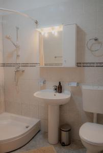拉斯托伏Apartmani Matiša的浴室配有盥洗盆、卫生间和浴缸。