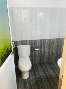 波隆纳鲁沃New hotel canel park的一间带卫生间和水槽的浴室