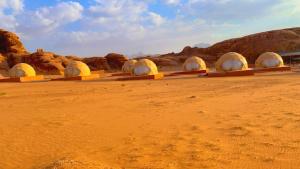 瓦迪拉姆Wadi Rum Ali Bubble camp的沙漠中一排露营的住所