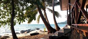 刁曼岛Home Away Tioman Island的棕榈树海滩和海洋