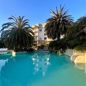 康康Hippocampus resort的棕榈树环绕的蓝色海水游泳池