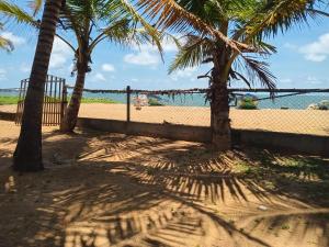 尼甘布Ceylonica Beach Hotel的海滩上棕榈树的阴影