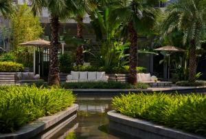 宝安深圳机场希尔顿逸林酒店的棕榈树、椅子和池塘的度假胜地