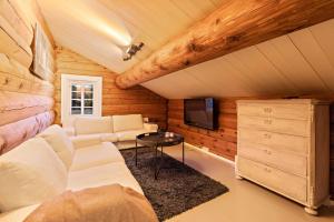 LislevatnLuxurious and modern log cabin close to nature的带沙发和电视的客厅