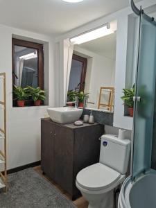 克卢日-纳波卡TinyHouseFaget的一间带水槽、卫生间和镜子的浴室