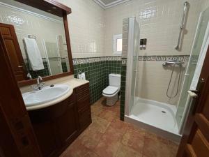塞埃欣波音特度假屋的一间带水槽、卫生间和淋浴的浴室