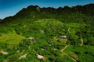 枚州县Avana Retreat的享有绿色山丘的顶部景色,山丘上栖息着动物