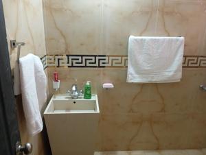 拉合尔Balqees Cottage的浴室配有水槽和墙上的毛巾