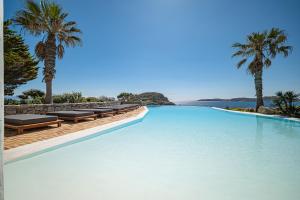 米克诺斯城Sanarte Villas Mykonos的一个带椅子和棕榈树的大型游泳池