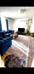 阿沃斯塔Lägenhet/Apartment Krylbo, Avesta Sweden的客厅配有蓝色的沙发和地毯。