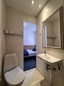 欧登塞Milling Hotel Mini 11的一间带卫生间、水槽和镜子的浴室