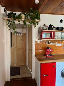 鲍洛托努德沃里Love Shack的厨房配有洗衣机和红色橱柜。
