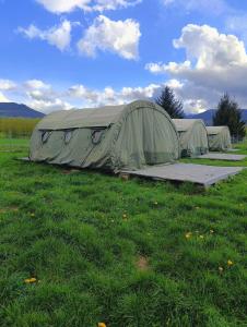 卡尔帕奇Camp66的两顶绿色帐篷,位于草地上