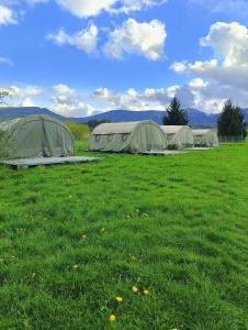 卡尔帕奇Camp66的草地上的两顶绿色帐篷