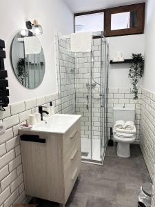 柯米拉斯Apartamentos Val de Comillas的一间带卫生间、水槽和镜子的浴室